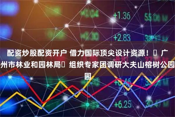 配资炒股配资开户 借力国际顶尖设计资源！‌广州市林业和园林局‌组织专家团调研大夫山榕树公园